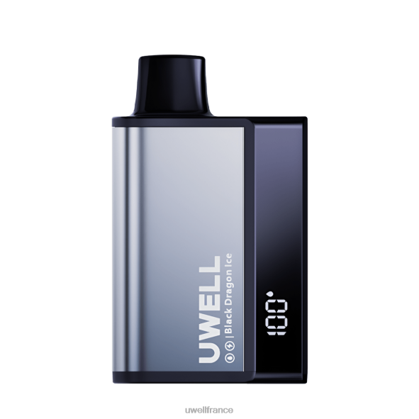 UWELL DL8000 vape jetable | UWELL Paris glace de dragon noir 84P4N282