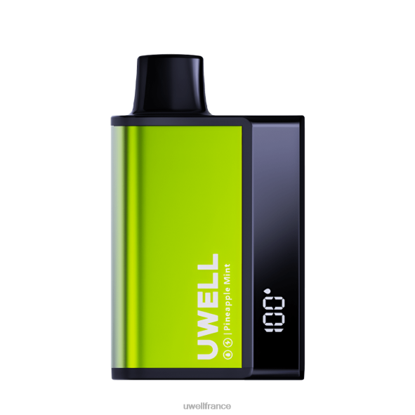 UWELL DL8000 vape jetable | UWELL Prix menthe ananas 84P4N284